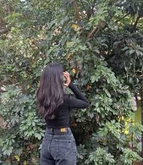 Seyne 
